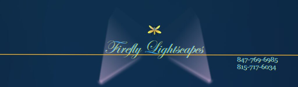 Firefly Lightscapes